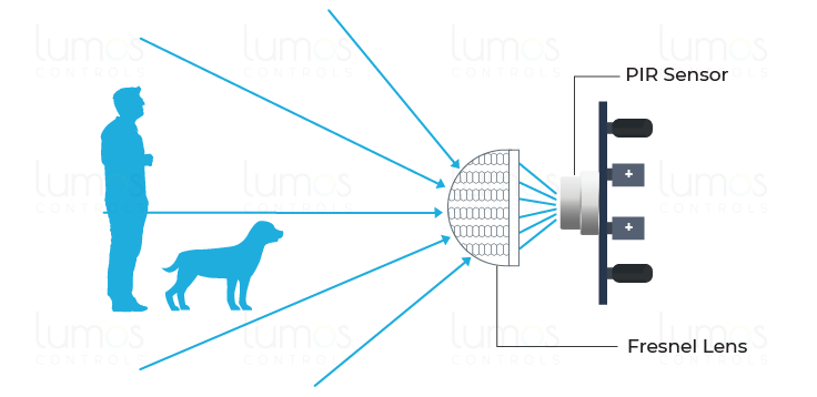 PIR Motion Sensor Working